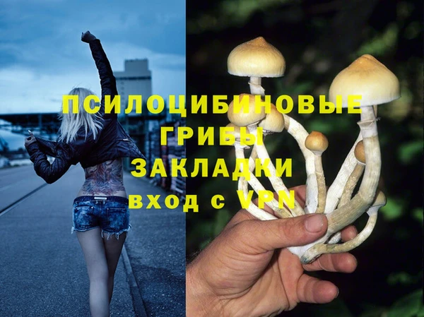 гашишное масло Бикин