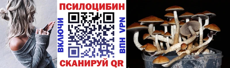 купить   Гусиноозёрск  Галлюциногенные грибы прущие грибы 